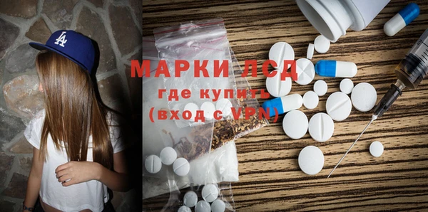 стаф Аркадак