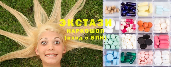 стаф Аркадак