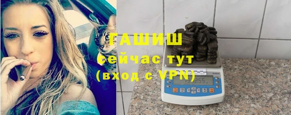 стаф Аркадак