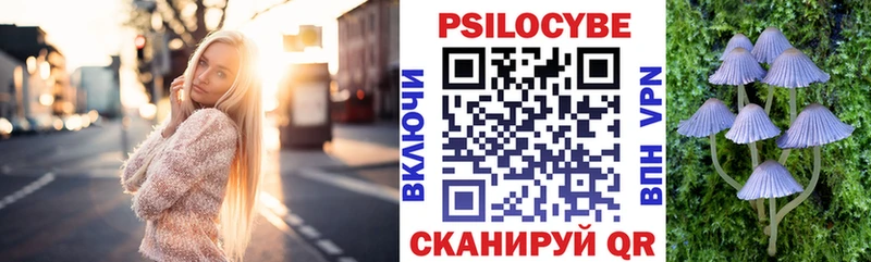 Галлюциногенные грибы Psilocybe  Салехард 